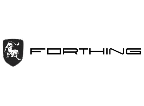 Forthing Fahne 150x400 cm